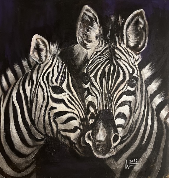 Zebras